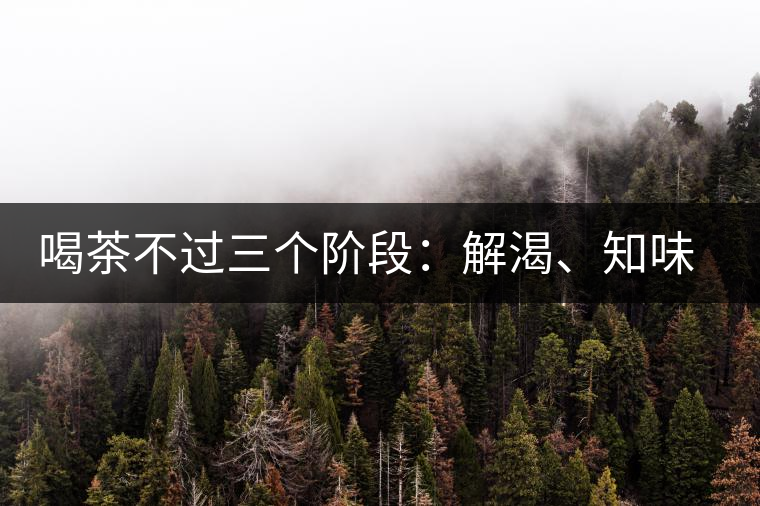 喝茶不過三個階段：解渴、知味、怡情