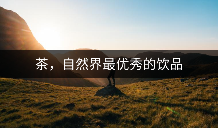 茶，自然界最優(yōu)秀的飲品