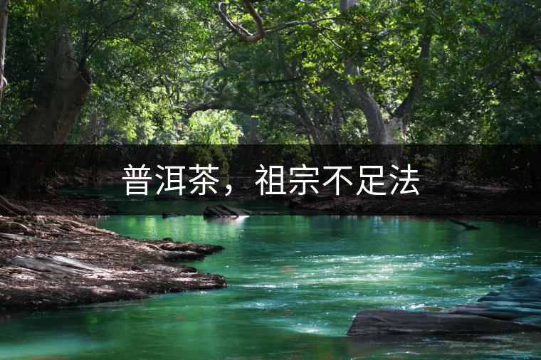 普洱茶，祖宗不足法