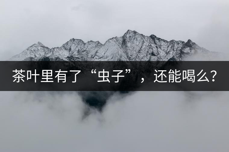 茶葉里有了“蟲子”，還能喝么？