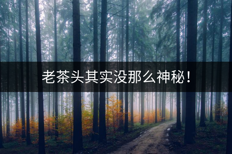 老茶頭其實沒那么神秘！