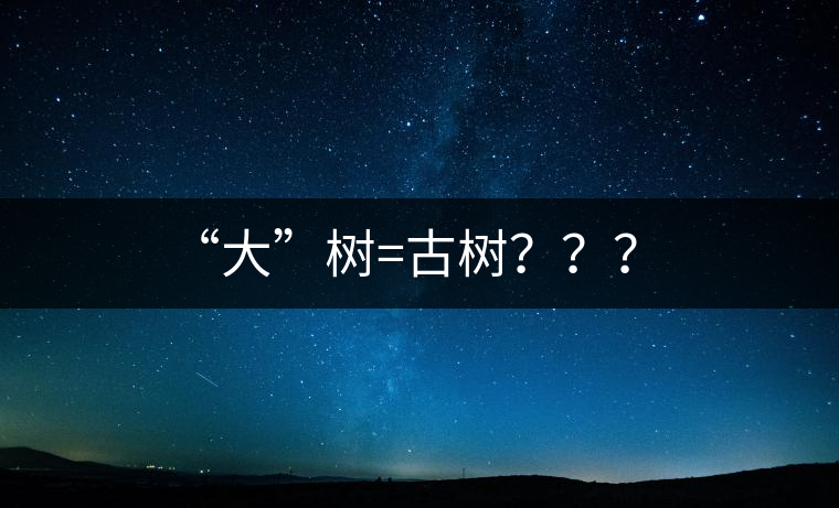 “大”樹=古樹？？？