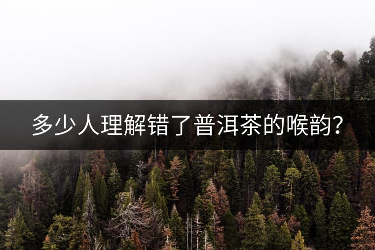 多少人理解錯(cuò)了普洱茶的喉韻？