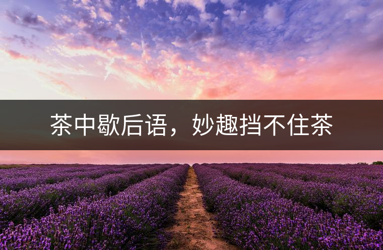 茶中歇后語，妙趣擋不住茶