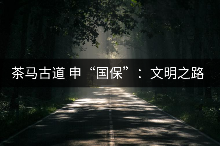 茶馬古道 申“國(guó)?！保何拿髦返脑侔l(fā)現(xiàn)