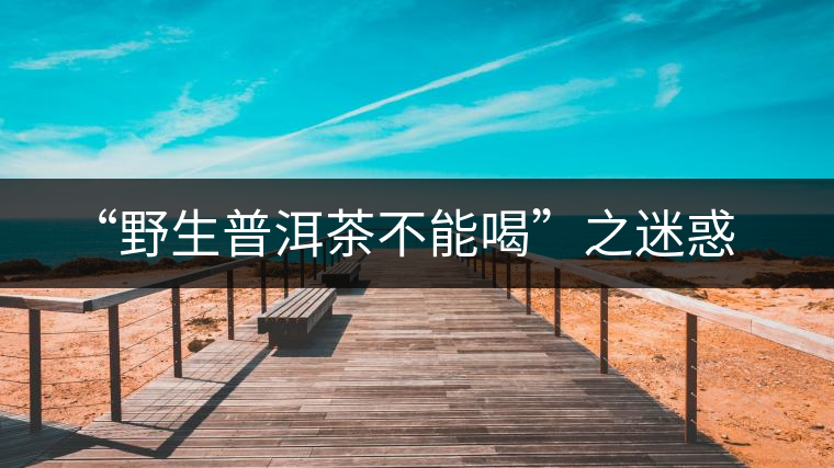“野生普洱茶不能喝”之迷惑