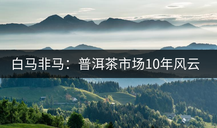 白馬非馬：普洱茶市場(chǎng)10年風(fēng)云錄