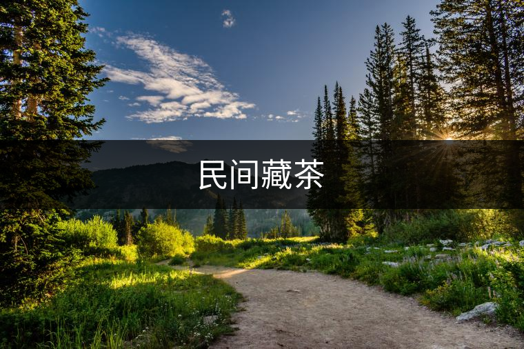 民間藏茶 民間藏茶