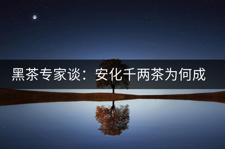 黑茶專家談：安化千兩茶為何成“世界茶王”？