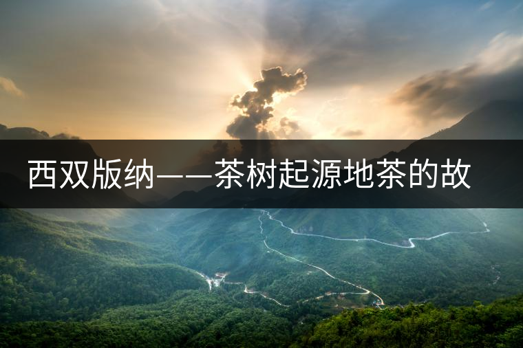 西雙版納——茶樹起源地茶的故鄉(xiāng)、云茶之源