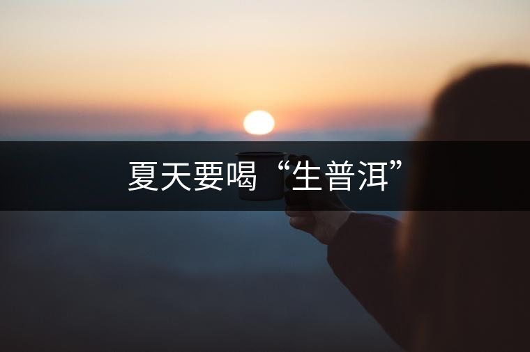 夏天要喝“生普洱”