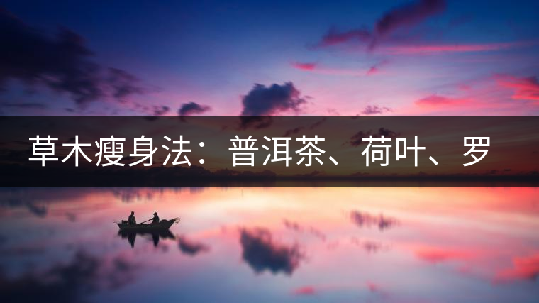 草木瘦身法：普洱茶、荷葉、羅漢果