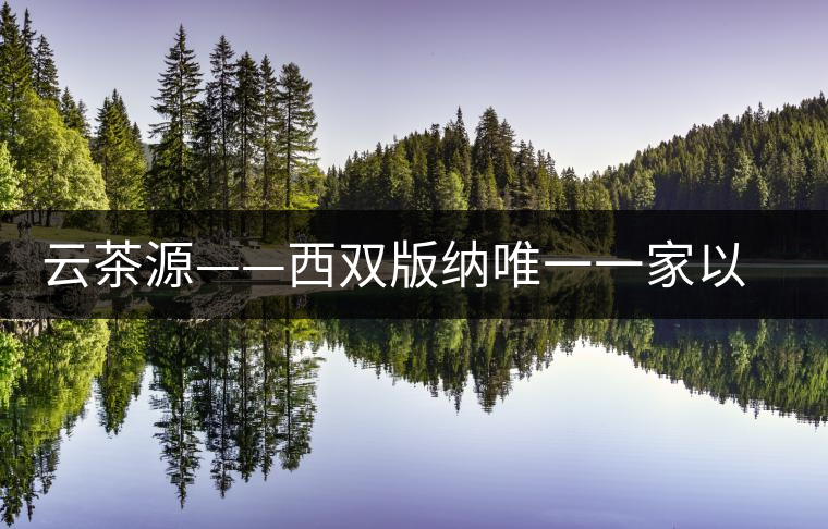 云茶源——西雙版納唯一一家以茶旅游為主景點(diǎn)