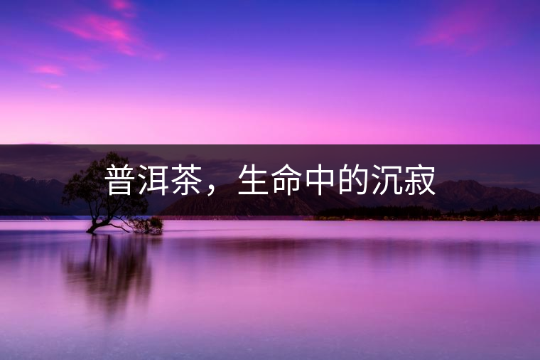 普洱茶，生命中的沉寂