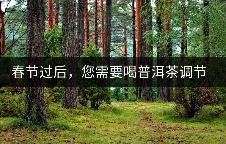 春節(jié)過(guò)后，您需要喝普洱茶調(diào)節(jié)身體