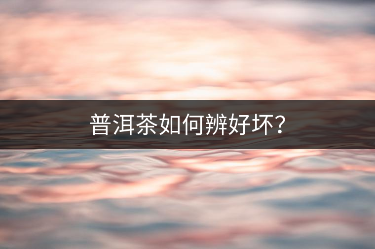 普洱茶如何辨好壞？