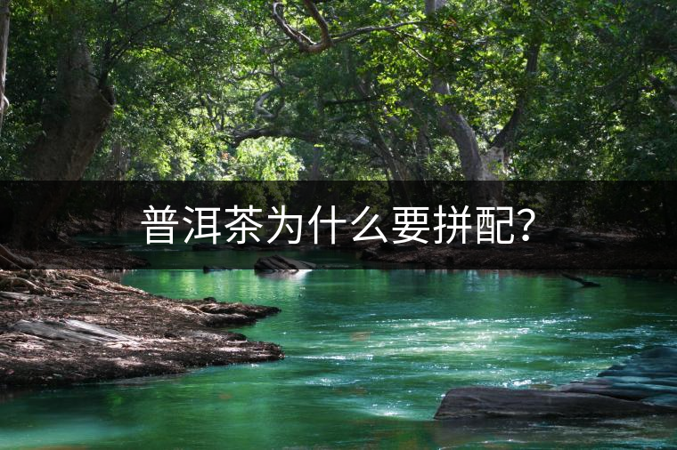 普洱茶為什么要拼配？