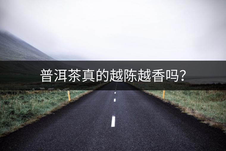 普洱茶真的越陳越香嗎？