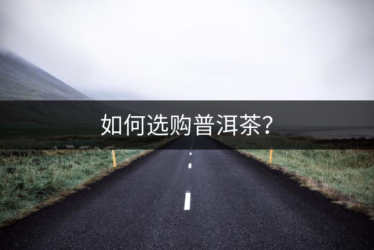 如何選購普洱茶？