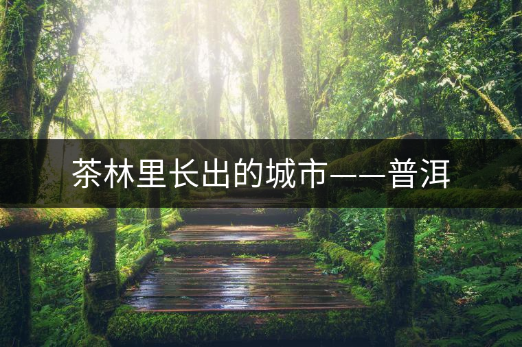 茶林里長(zhǎng)出的城市——普洱 茶林里長(zhǎng)出的城市——普洱