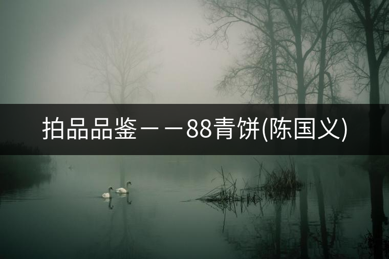 拍品品鑒－－88青餅(陳國義)