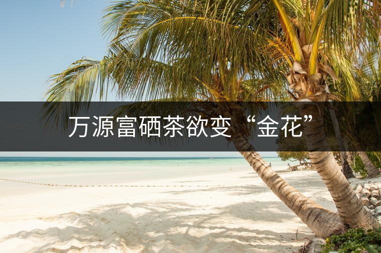 萬(wàn)源富硒茶欲變“金花” 萬(wàn)源富硒茶欲變“金花”