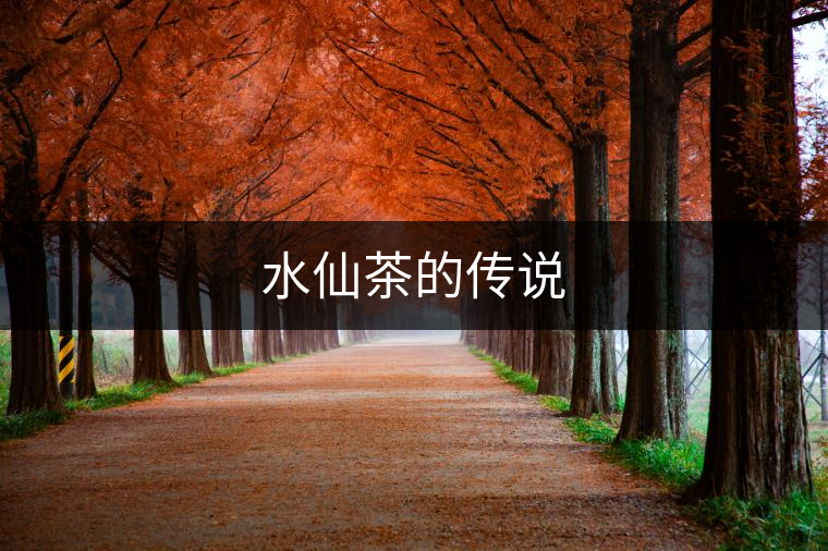 水仙茶的傳說