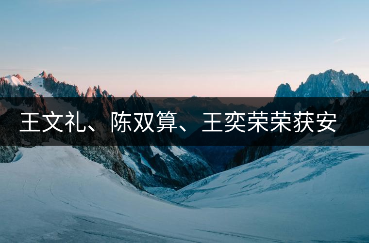 王文禮、陳雙算、王奕榮榮獲安溪茶界三杰