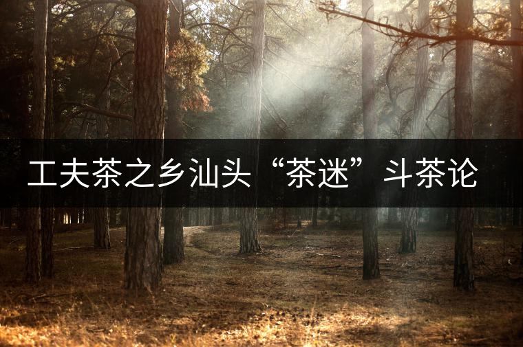 工夫茶之鄉(xiāng)汕頭“茶迷”斗茶論道 工夫茶之鄉(xiāng)汕頭“茶迷”斗茶論道
