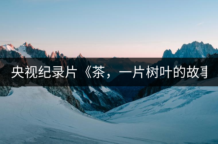 央視紀(jì)錄片《茶，一片樹(shù)葉的故事》紀(jì)錄片 昨晚開(kāi)播