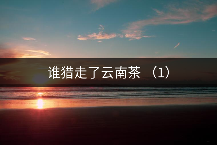 誰獵走了云南茶 （1）
