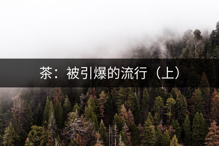 茶：被引爆的流行（上）