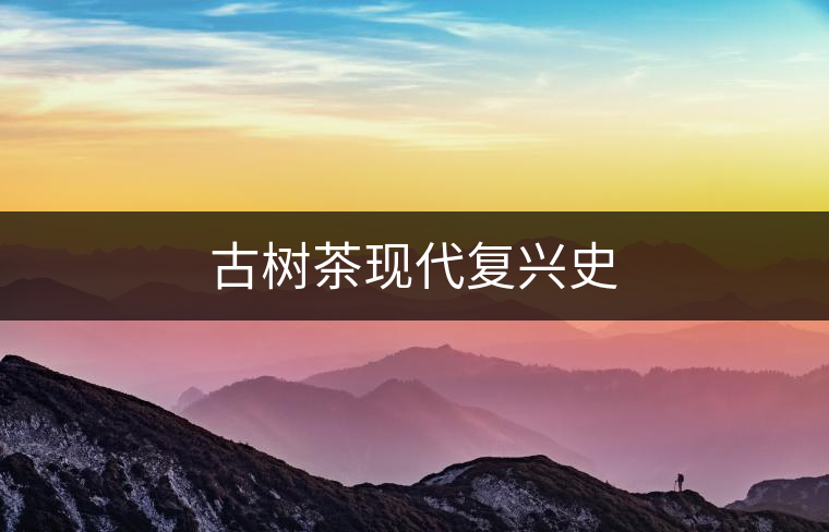古樹(shù)茶現(xiàn)代復(fù)興史