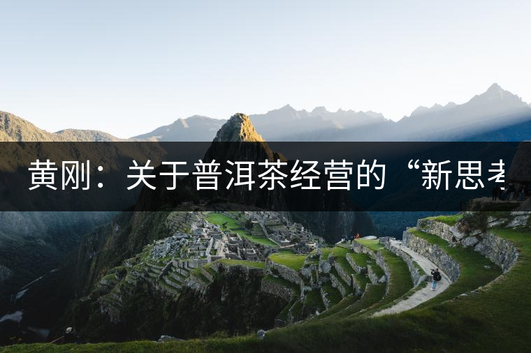 黃剛：關于普洱茶經(jīng)營的“新思考與新方法”（2014上/合集）