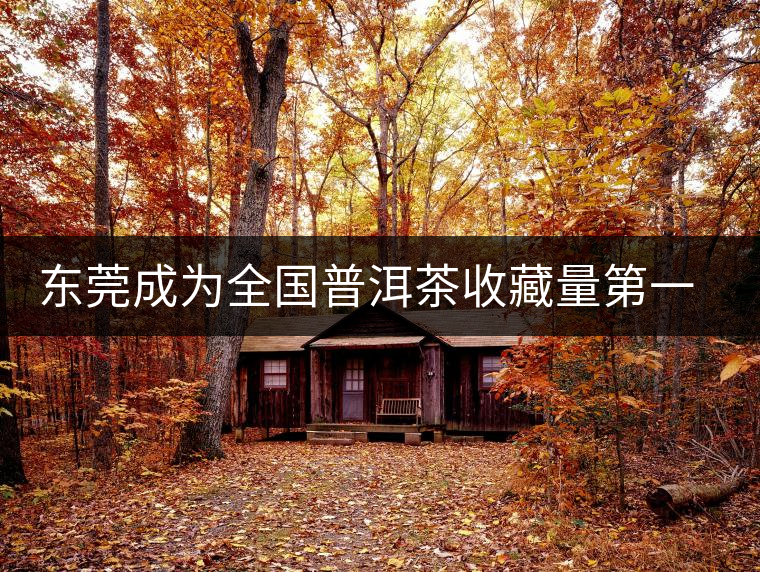 東莞成為全國(guó)普洱茶收藏量第一位的城市？