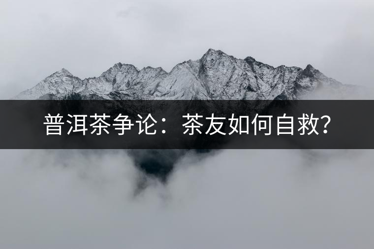 普洱茶爭論：茶友如何自救？