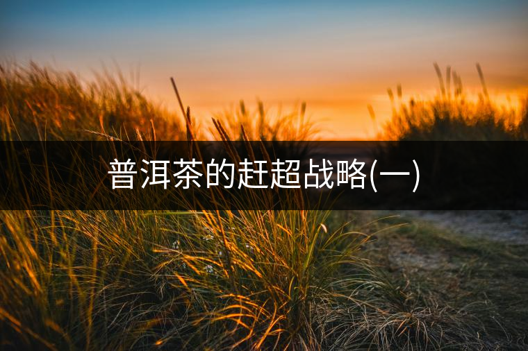 普洱茶的趕超戰(zhàn)略(一) 普洱茶的趕超戰(zhàn)略(一)
