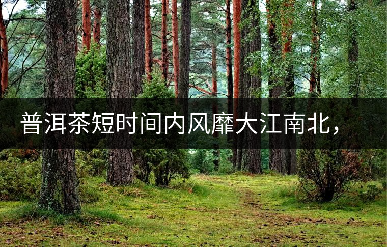 普洱茶短時間內(nèi)風(fēng)靡大江南北，總有一個理由吧？