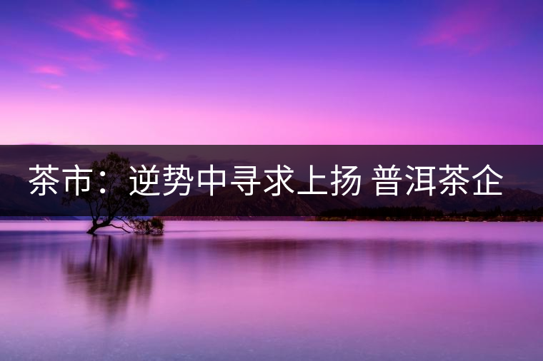 茶市:逆勢(shì)中尋求上揚(yáng) 普洱茶企靠什么打贏這場(chǎng)翻身仗? 茶市:逆勢(shì)中尋求上揚(yáng) 普洱茶企靠什么打贏這場(chǎng)翻身仗?