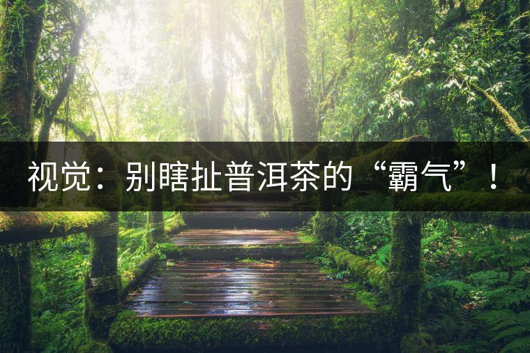 視覺：別瞎扯普洱茶的“霸氣”！偽大師！