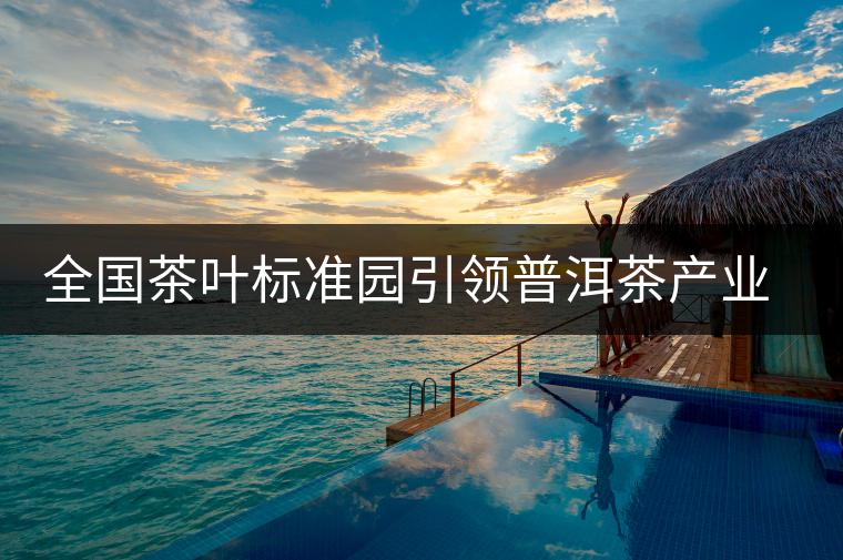 全國(guó)茶葉標(biāo)準(zhǔn)園引領(lǐng)普洱茶產(chǎn)業(yè)發(fā)展