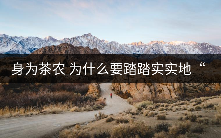 身為茶農(nóng) 為什么要踏踏實(shí)實(shí)地“放毒”！