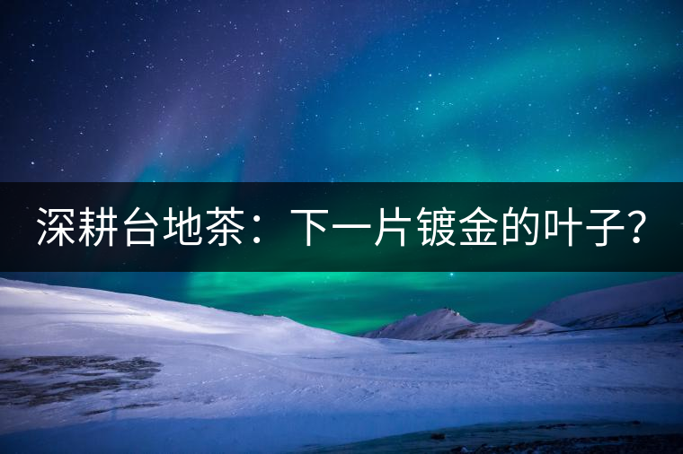 深耕臺(tái)地茶：下一片鍍金的葉子？