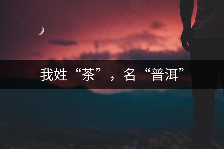 我姓“茶”，名“普洱”