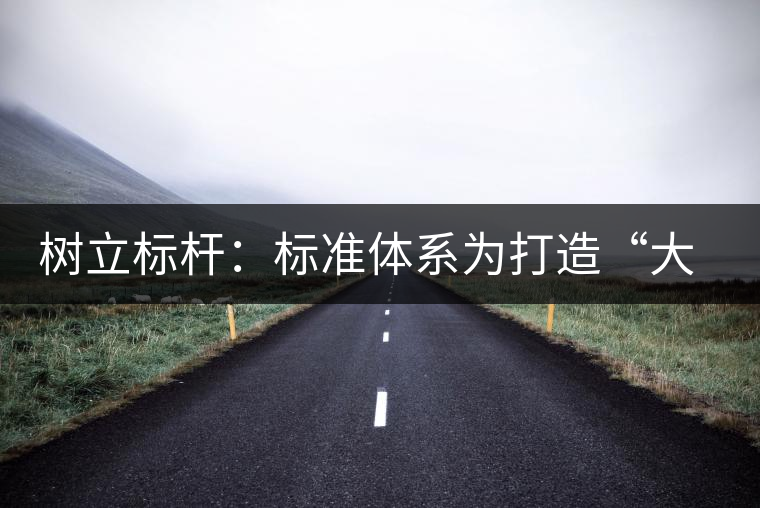 樹立標(biāo)桿:標(biāo)準(zhǔn)體系為打造“大景邁”品牌保駕護航 樹立標(biāo)桿:標(biāo)準(zhǔn)體系為打造“大景邁”品牌保駕護航