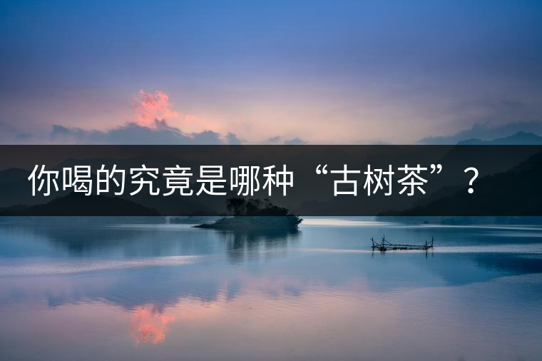 你喝的究竟是哪種“古樹茶”？（收茶必備知識）