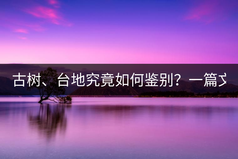 古樹、臺地究竟如何鑒別？一篇文章說透！