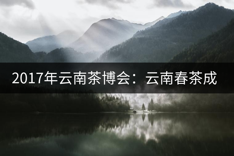 2017年云南茶博會：云南春茶成品茶價格上漲，平均每公斤達(dá)94.31元