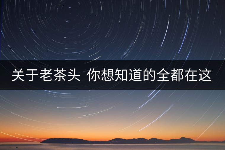 關(guān)于老茶頭  你想知道的全都在這兒啦！