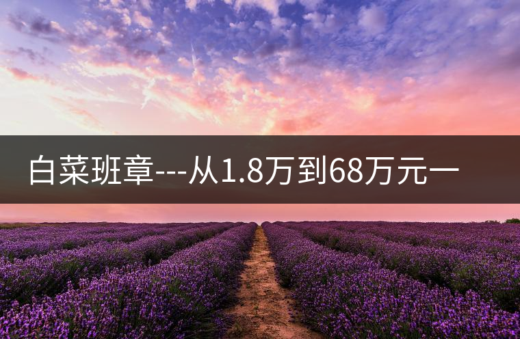 白菜班章---從1.8萬(wàn)到68萬(wàn)元一件的神話 白菜班章---從1.8萬(wàn)到68萬(wàn)元一件的神話
